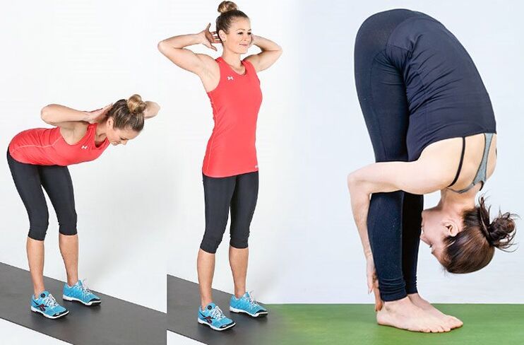 منحنيات الجذع